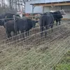 Fredrick Burkholder - @fredrickburkholde - TikTok