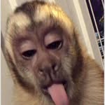 FREDERICK CABRERA 🐒🙌🏾 - @elmonki15 - Instagram