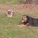 Frederick Carson - Facebook