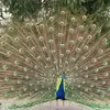 Casey Frederick - @casey.frederick8 - TikTok