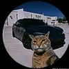 Frederick Castañeda - @frederick.castaed - TikTok