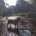 Frederick Chamberlain - Facebook