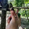 Christian Frederick - @christianfrederickfederi - TikTok