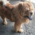 Frederick Cipriano - Facebook