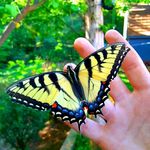 Frederick Clegg 🦋🦋🦋🦋🦋 - @fredinthestreetscleginthesheet - Instagram