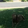 conniefrederick89 - @conniefrederick89 - TikTok