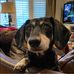Frederick Cornell - Facebook