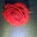 Frederick Corrales - Facebook