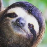 Frederick Craft - @fjosephcraft - Instagram