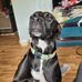 Frederick Crews - Facebook