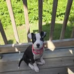 Frederick Cullen - Facebook