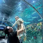 Frederick Davila Ochoa - @frederickdavilaochoa - Instagram