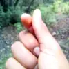 fredfrick - @frederickdeyss - TikTok