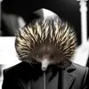 Frederick.Diggs - @echidnas94 - TikTok