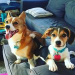 Brian Weiss - @frederickanddillon - Instagram