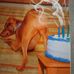 Frederick Downing - Facebook