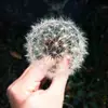Frederick Doyle - @frederickdoyle404 - TikTok