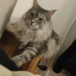 Frederick Doyle - @sman7487 - Instagram