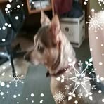 Frederick Eckert - Facebook