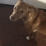 Frederick.Evans - @frederick.evans2 - Instagram