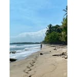 Frederick Franks - @227frederickfranks - Instagram