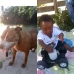 Frederick Fredericks - Facebook