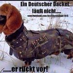 @frederick_freund - Instagram