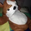 frederickfreund - @frederickfreund - TikTok