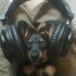 Frederick de Friendt - @friendtfrederickde - Instagram