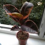 @frederick_friend - Instagram