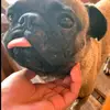 Freddy - @frederick.fuentes0 - TikTok