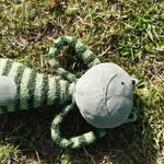 freg - @frederickthefunkyfrog - Instagram