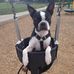 Fred Geiger - Facebook