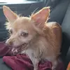Frederick Gillett - @frederick.gillett - TikTok
