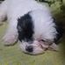 Frederick Glenn B Bolor Sr. - Facebook