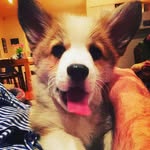 Fred - @frederick_goldsbrough - Instagram
