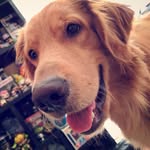 Fred Savage - @frederick.the.golden - Instagram
