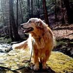 Frederick Golden Fleet - @frederick_golden_fleet - Instagram