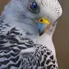 frederickmanygonzalez - @frederickmanygonzalez - TikTok
