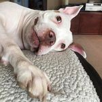 Kerry Goochie Fredericks - @frederickskerry - Instagram