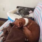 Frederick Grabowski - @grabowskifrederick - Instagram