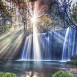 Frederick Graves - @coskunkirac40374301 - Instagram