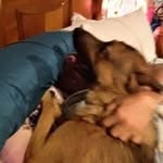 Frederick Groves - @groves_frederick - Instagram