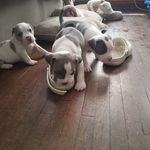 Frederick Hagans - @frederickhagans - Instagram