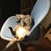 Frederick Hahn - Facebook