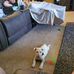 Frederick Haines - Facebook