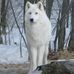 Frederick Handel - Facebook