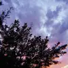Frederick Hanks - @frederickhanks573 - TikTok