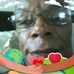Frederick Hennings - Facebook