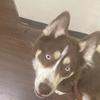 Frederick Hernandez - @lucid.talks - TikTok
